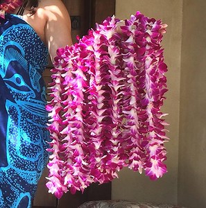 Bulk Leis - Fresh Hawaiian Leis | Free Shipping | Wholesale Prices
