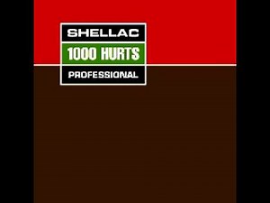 Shellac - 1000 Hurts - 03 - Mama Gina (2000)