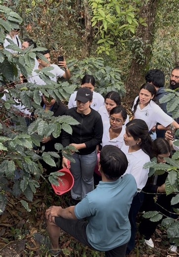 Understanding Coffee Production at a Farm Visit