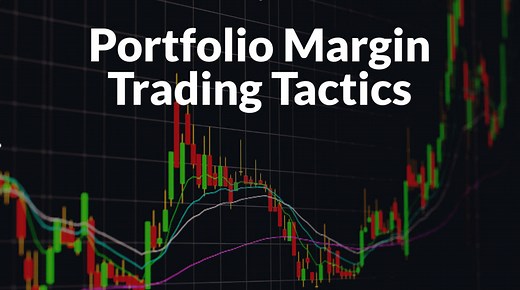 Portfolio Margin Trading Tactics