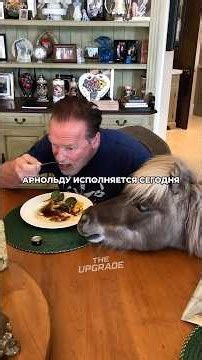 Arnold Schwarzenegger on His Cruel Childhood, Aging, and His Mini-Zoo