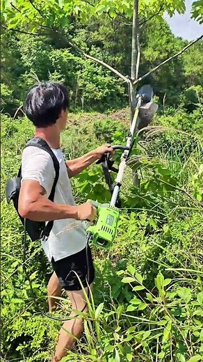 ‌Professional tree trimming with industrial mower