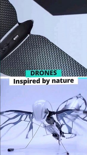 Flying RC ornithopter drones MetaFly and MetaBird © Bionic Bird | Discover the biomimetic flight