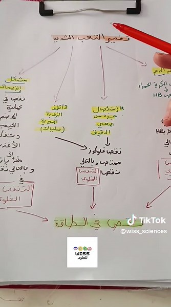 تفسير التعب الشديد في مادة العلوم لتلاميذ الرابعة متوسط