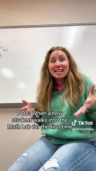Navigating Math Labs: A New Student's Journey