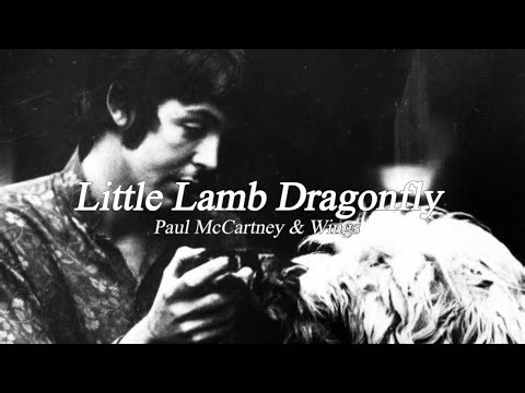 Paul McCartney & Wings - Little Lamb Dragonfly [가사해석]