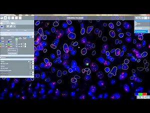 3DHISTECH - FISHQuant module