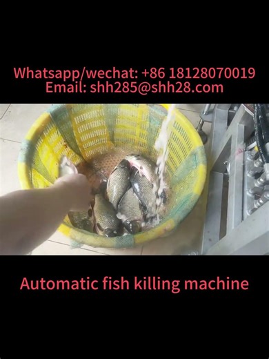 Automatic fish killing machine fish fillet cutting machine fish gutting machine fish cleaner