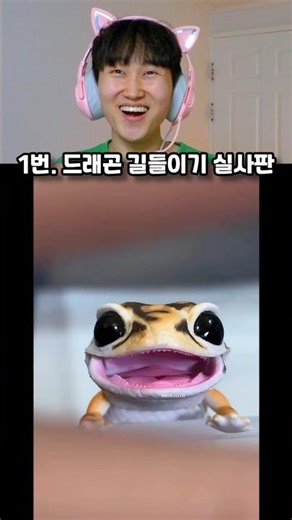 Selection Part 108. Please pick the cutest animal🤩