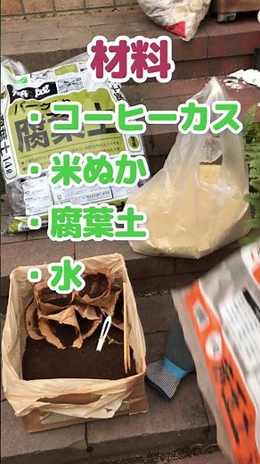 【113カメ】コーヒーカスから作るお手軽で簡単な堆肥作り＃1【庭の大開拓時代】 #shorts