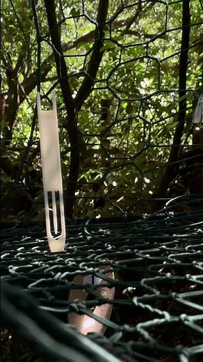 Weaving a Tree Net in the Redwoods