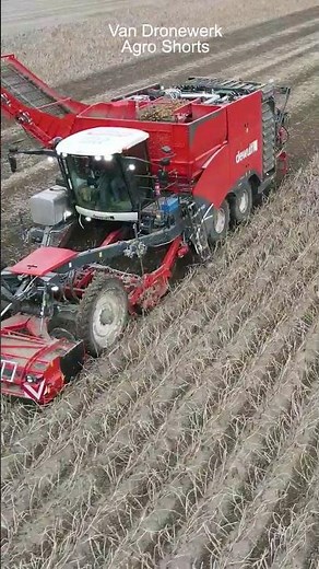 New Dewulf Enduro Potato Harvester 😎 Full video 👆