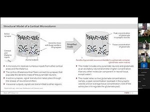Consciousness Based In The Zero-Point Energy Field -- Joachim Keppler