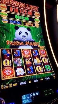 Quick $5 Bet Bonus on Panda Magic - Dragon Link Delivers!