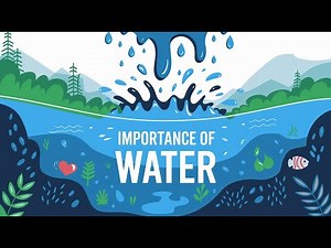Why Water Is Essential | Importance, Functions & Health Benefits