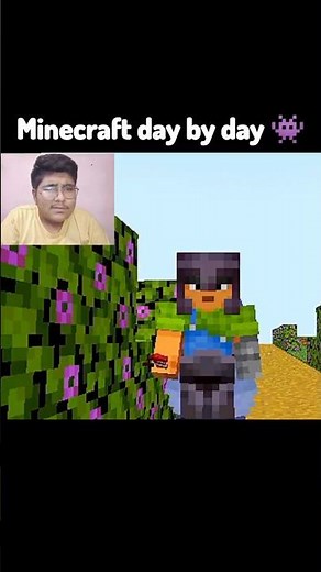 Minecraft Day By Day 👾