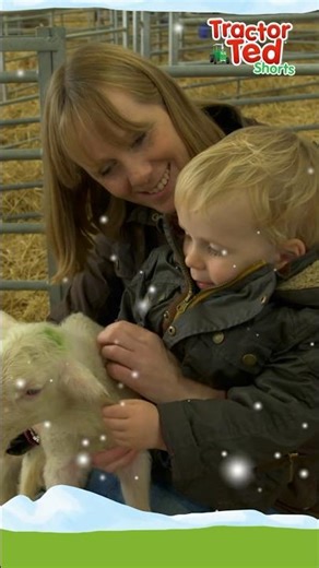 Tractor Ted’s Farm Advent 🚜 | Door 18 Surprise!