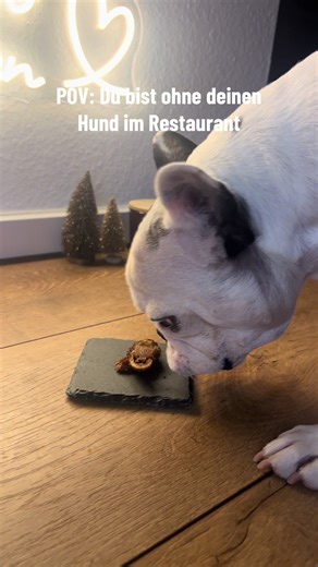 Restaurantbesuch ohne Hund? Die perfekte Beute!