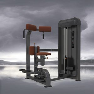 [Hot Item] Body Building Commercial Life Fitness Equipment Exercise Machine Seated Torso Rotation Gym Machine