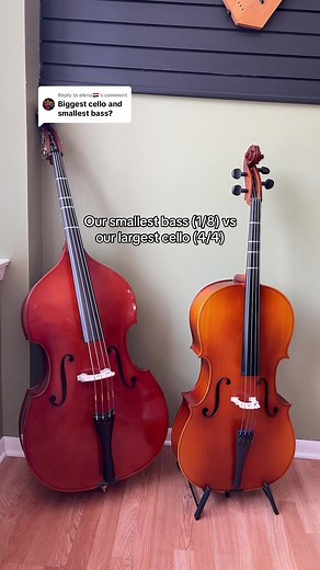 Smallest Bass (1/8) vs Largest Cello (4/4) – Spot the Differences