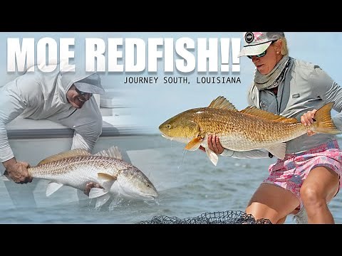 Chasing Giant Bull Redfish in Venice! | S10:E8 Local Knowledge