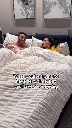 This is what it’s like to have a nosy dog #NoPrivacy #Doberman #NosyDog #petparents