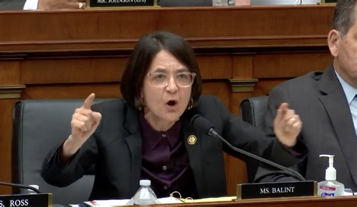 Balint: ICE Agents Hold Children at Gunpoint in Mistaken Raid on American Family