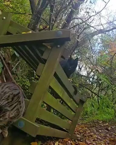 5.5K views · 34 reactions | Hector's House Residents on Reels | Facebook