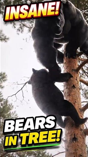 AI Robot Dog initiates defense mode