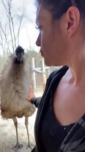 #stitch with @useless_farm Jake Paul vs. Ben Askren