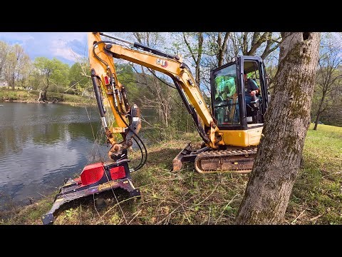 Will This NEW Mongo Brush Cutter Actually Live Up To The Hype?