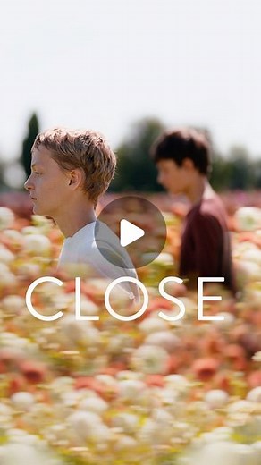 A24 on Instagram: "Watch the trailer for Lukas Dhont’s stunning Cannes Grand Prix-winner CLOSE, an unforgettable coming-of-age story starring newcomers Eden Dambrine and Gustav de Waele. Coming Soon."