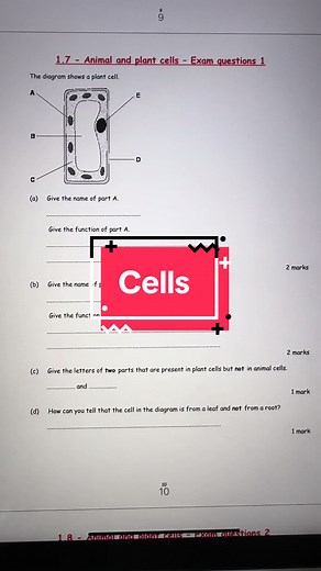 Quick Questions on Cells! Learn about Plant Cell Structures and Functions