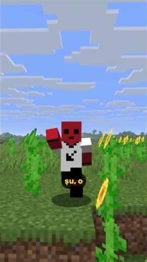 What Was the First Food Added to Minecraft❗❓