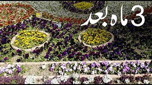 83K views · 603 reactions | POS and Inventory management software for single store and retail chains Barcode enabled & compatible with all retail hardware Special features for size and color businesses, and much more.. Check feature list here: https://candelarms.com/features-making-retail-simple/ | Candela RMS: Making Retail Simple | Facebook