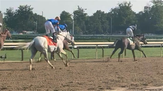 49K views · 1K reactions | SIERRA LEONE becomes just the 8th horse in history to win both the G1 Whitney Stakes and the G1 Breeders' Cup World Championships Classic!  The 4yo colt by Gun Runner punches his ticket to this year’s BC Classic for trainer Chad Brown. It was also Flavien Prat’s 4th win on the day!  | Equibase Company | Facebook