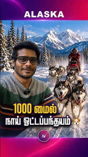 1000 Mile Dog Race in Alaska! 🛷