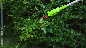 Slow motion footage of an unidentifiable gardener cutting or trimming a hornbeam hedge with a battery operated cordless hedge cutter