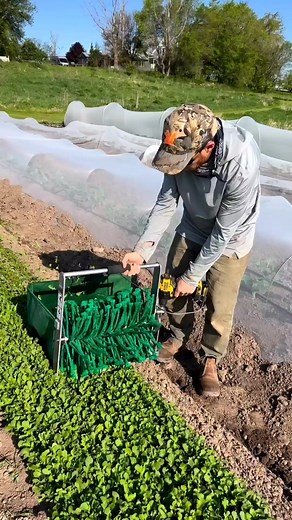 9.6K views · 50 reactions | Harvesting Arugula #Major #Crops #Cotton #Wheat #Maize #Rice #Technology #Agriculture #Farming #Farm #Agri #Business #Seed #Selling #Sell #Farminglife #Pakistan #Allcrops #vegetables #careagroservices #پاکستان #فصلات #کپاس #کاٹن #گندم #مکئی #چاول #دھان | 헖헿헼헽 헖헮헿헲 | Facebook