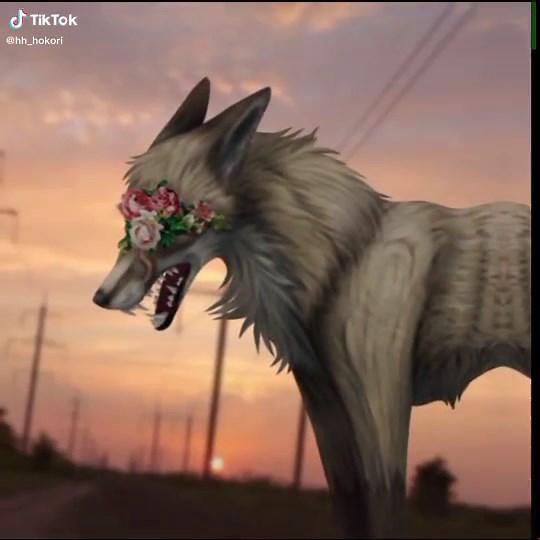 Wildcraft Editing Process | Top Tips and Recommendations