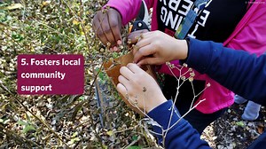 53 reactions · 22 shares | We all know that pollinators are not only...