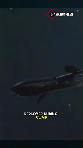 Lauda Air Flight 004 Aviation Disaster | Plane Breaks Apart After Thrust Reverser Failure ✈️🔥#crash