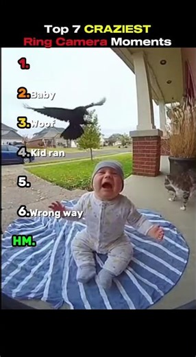 Ranking The Best Camera Caught Moments #funny #ranking