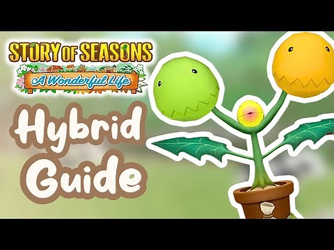 Complete Hybrid Farming Guide | Story of Seasons A Wonderful Life
