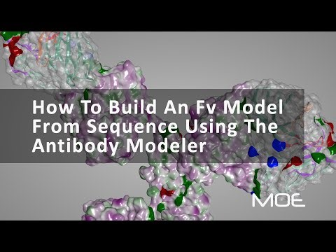 How to Build an Fv model from sequence using the Antibody Modeler