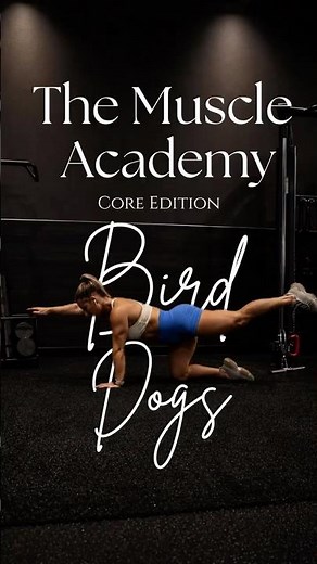 The Muscle Academy | Bird Dog Exercise: Stop Making These Common Mistakes | Core Stability Tutorial