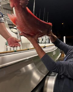 Unloading the haul from offshore trip! Capt.Collier | The Lawless Tide