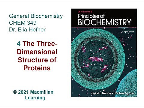 Chapter 4 - The Three Dimensional Structure of Proteins