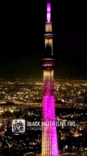 ❤️ | Sequa Sue Shields