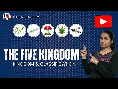 🔬 Five Kingdoms of Classification | Biology | Class 11th